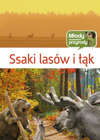 Ssaki lasów i łąk Młody Obserwator Przyrody twarda