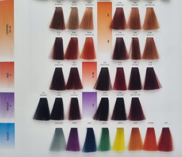 CHANTAL ART COLOR PROSALON FARBA 100 ML 9,03