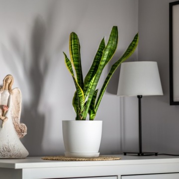 КРЫШКА НА ЦВЕТОЧНЫЙ ВАЗ ЦВЕТОЧНЫЙ ВАЗ 16см ДЛЯ ЦВЕТОВ БЕЛАЯ МАТОВАЯ ПЛАСТИКОВАЯ ПОДСТАВКА