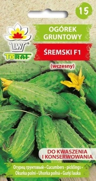 Ogórek gruntowy ŚREMSKI F1 5g / T /