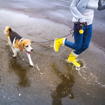 ДОЖДЕВИК ДОЖДЕВИК В ШАРЕ С КРАБИНЕРОМ