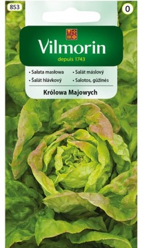 SAŁATA KRÓLOWA MAJOWYCH 1G V*