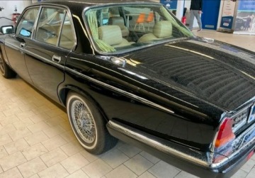 Jaguar XJ III 1980 Jaguar Daimler DOUBLE-SIX VANDEN PLAS 5.3 V12 5.3 Benzyna 295KM, zdjęcie 6