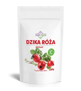 NATURALNA DZIKA RÓŻA WITAMINA C W PROSZKU 100g