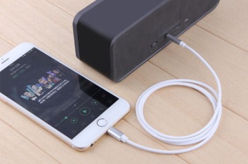 Adapter Przejściówka Kabel Lightning Mini Jack 3,5mm iPhone X 11 12 13 14