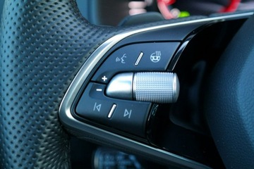 Skoda Karoq Crossover Facelifting 1.5 TSI ACT 150KM 2024 Škoda Karoq Skoda Karoq Sportline 1.5 TSI 150 KM, zdjęcie 15