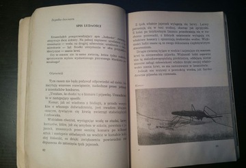 Ответы на биологические загадки Ян Жабинский