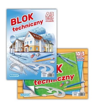 SCHEMAT BLOK TECHNICZNY A3/10 biały cena jakość