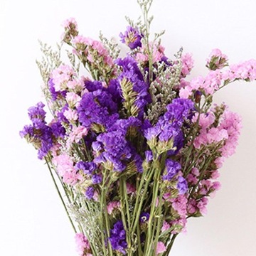 Naturalne suszone kwiaty bukiet Diy kwiat fioletowy