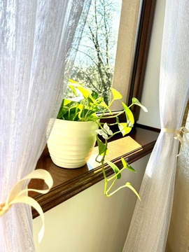 Шторы на метр Фон Длинная штора Природа Белое Золото Блеск 290