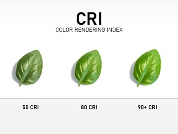 КОМПЛЕКТ COB LED ленты 2м НЕОН + ШКАФНЫЙ ВЫКЛЮЧАТЕЛЬ С ДИММЕРОМ И БЛОК ПИТАНИЯ