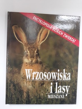 Wrzosowiska i lasy mieszane Encyklopedia dzikich