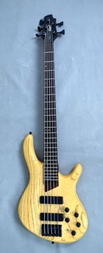 Cort Artisan B5 20th Anniversary Gitara Basowa