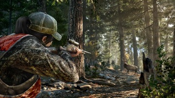 Far Cry 5 PL ПК Steam