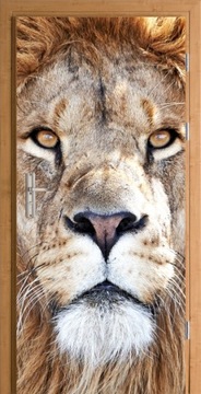 FOTOTAPETA NA DRZWI NAKLEJKA SAMOPRZYLEPNA LEW