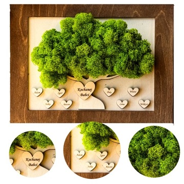 OBRAZ Z MCHU BONSAI MECH CHROBOTEK ŻYWY OBRAZ DRZEWO ŻYCIA PREZENT RAMKA