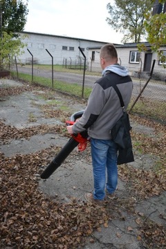 БЕНЗИНОВЫЙ САДОВЫЙ ПЫЛЕСОС ДЛЯ СНЕГА И ТРАВЫ 3КМ + КОМПЛЕКТ