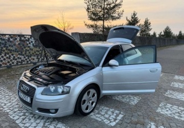 Audi A3 8P Hatchback 3d 2.0 TDI PD 140KM 2005 Audi A3 3-drzwiowe Audi A3 3-drzwiowe 2.0 TDI Attraction 2.0 Diesel 140KM, zdjęcie 17