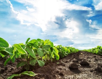 ВЕРМИКОМПОСТ Биогумус Садовая земля от дождевых червей Перегной 50л