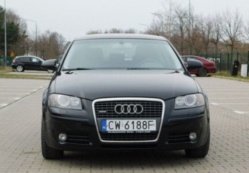 Audi A3 8P Hatchback 3d 2.0 TDI PD 170KM 2007 Audi A3 3-drzwiowe 2.0TDi Quattro Podgrzewane Fotele 2.0 Diesel 170KM, zdjęcie 21