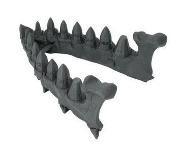 Smocza szczęka z zestawem kości ze smoczych zębów - Dragon Teeth Dice Set