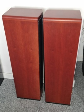 Напольные колонки Canton Ergo 609 DC