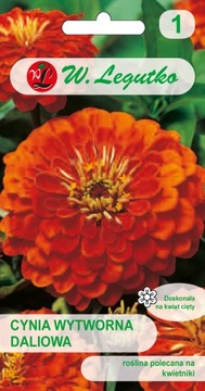 Nasiona cynie Orange King 1 g