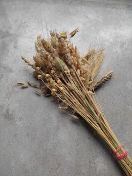 Сушеные крупы, набор натуральных сушеных трав.