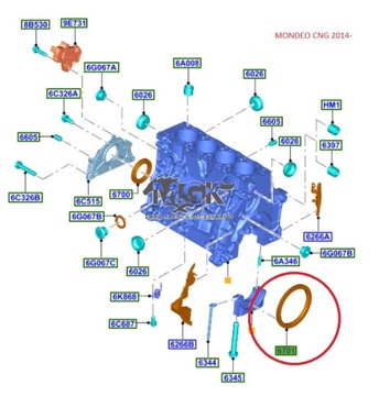 САЛЬНИК КОЛЕНВАЛА ЗАДНИЙ 2.0 TDCI FORD(OE)
