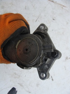 Ролик натяжника полоса Citroen C3 II 1.4 HDI Dayco TF129