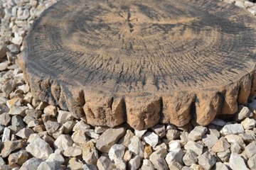 Pniak Betonowy Brązowy Na Ścieżki 