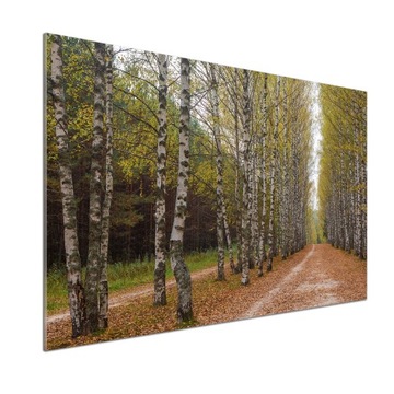 Panel dekor szkło Aleja brzóz 100x70 cm + KLEJ