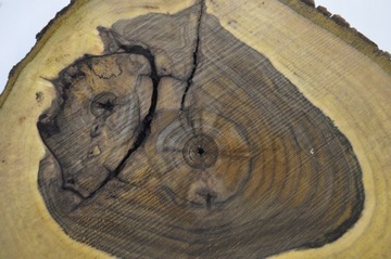 Доска Patera Slice 46x42Gr6 Орехового дерева