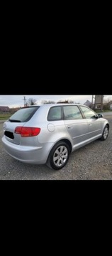 Audi A3 8P Hatchback 3d 1.6 102KM 2005 Audi A3 Audi A3 1.6 MPI 5 drzwi zadbana Oplacona, zdjęcie 5