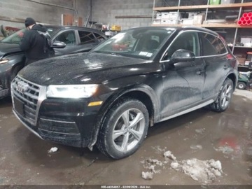 Audi Q5 II 2020 Audi Q5 Premium Plus 45 Tfsi Quattro S Tronic 2020 2.0 Benzyna 248KM, zdjęcie 1
