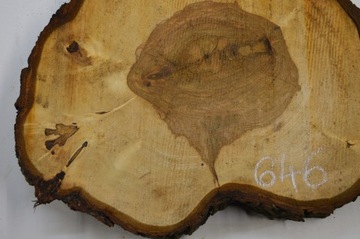 Срез каштана 55х49см Толщина 6 см для смол