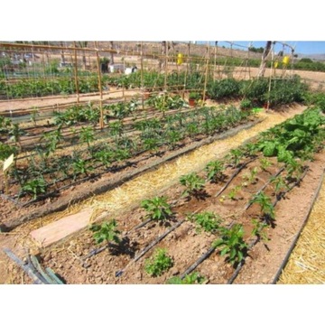 КАПЕЛЬНАЯ ЛИНИЯ КАПЕЛЬНОГО ОРОШЕНИЯ 100 м + КОНТРОЛЛЕР КАПЕЛЬНОГО ШЛАНГА