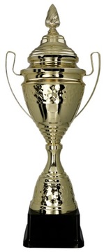 Okazały złoty Puchar z przykrywką nagroda sport 60 cm + GRAWER