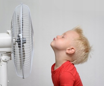 Prodigy.cat большой напольный вентилятор с дистанционным управлением, 40 см, три скорости обдува