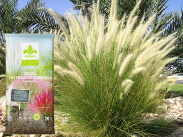 ПОЧВЕННЫЙ СУБСТРАТ ДЛЯ ДЕКОРАТИВНОЙ ТРАВЫ ПАМПАССНАЯ ТРАВА И БАМБУК 20л КРОНЕН