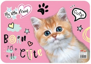 ЛАМИНИРОВАННЫЙ БЛОК А3 МОЙ МАЛЕНЬКИЙ ДРУГ С РАЗЛИЧНЫМИ УЗОРАМИ КОШКА СОБАКА