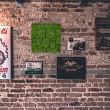 ИМИТАЦИЯ ЗЕЛЕНОЙ СТЕНЫ ИСКУССТВЕННЫЙ МОХ ДЕКОРАТИВНЫЙ ИСКУССТВЕННЫЙ МОХ.