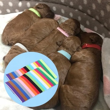 (30 шт./2 пакета) Ремни с застежкой-липучкой