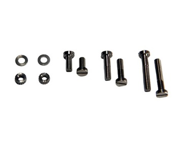 Śruby do montażu wkładki, TechDAS Titanium Screws