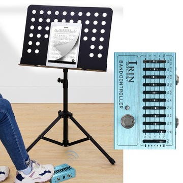 10-полосный эквалайзер IRIN, педаль эффектов для мини-гитары