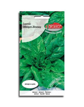 Szpinak Olbrzym Zimowy nasiona 10g Torseed POLECAM