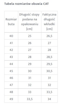 Рабочие ботинки CATERPILLAR GRAVEL 6
