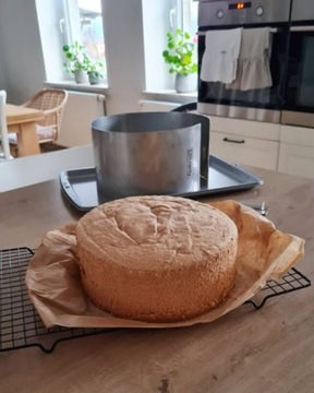 РЕГУЛИРУЕМАЯ ЛЕНТА ДЛЯ ТОРТА RANT ДЛЯ ВЗРОСЛЫХ ДИАПАЗОНОВ 14-20 H12см