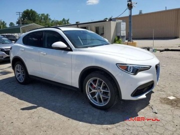 Alfa Romeo Stelvio SUV 2.0 Turbo 280KM 2018 Alfa Romeo Stelvio 2018 r., 2,0L SPORT 2.0 Benzyna 280KM, zdjęcie 2