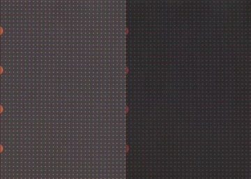 Zeszyt A4 Paper-oh Cahier Circulo w kratkę 40